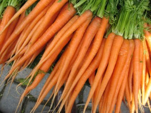 carrots carrots
