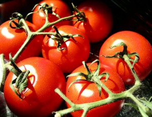 how-to-grow-tomatoes